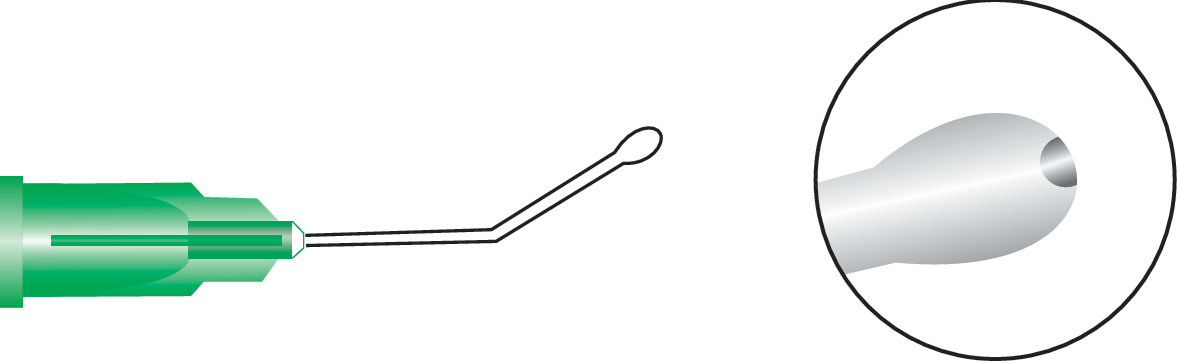 Olive Tip Cannula